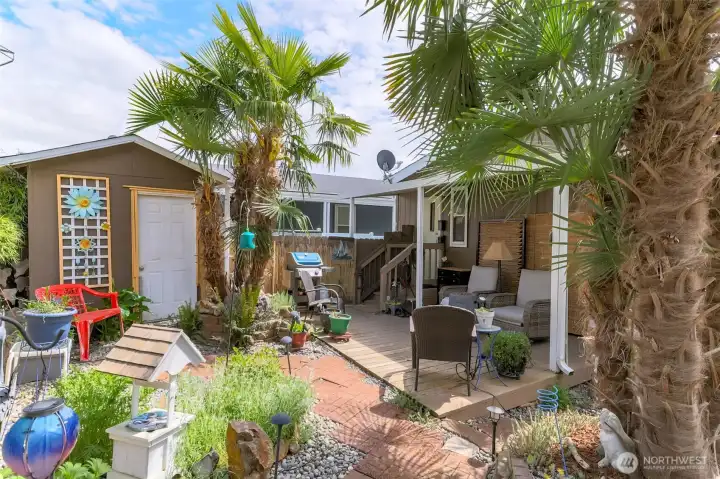 Outdoor shed and patio