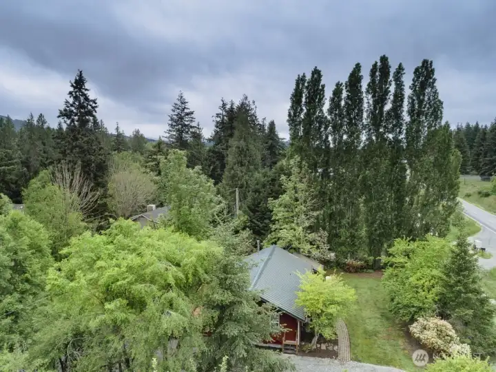 Aerial view shows mature landscaping.  Home sits away from the main road.