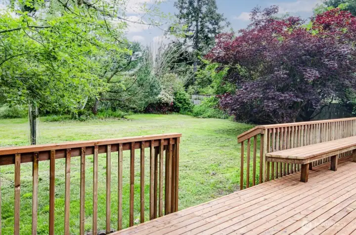 Access to the spacious back yard.