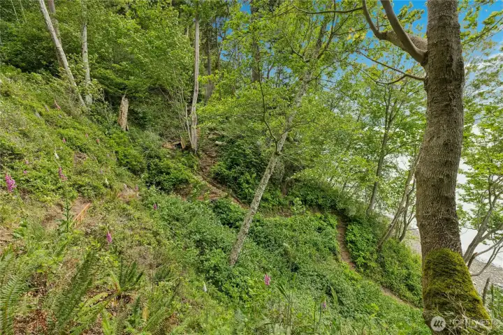 The trail meanders down to the beach The trail meanders down to the beach