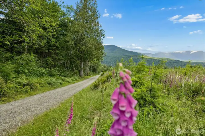 Nice Graded Gravel Road, McDonald to the driveway Nice Graded Gravel Road, McDonald to the driveway