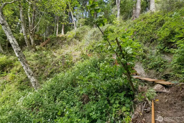 the path to beach has been cleared and is accessable. the path to beach has been cleared and is accessable.