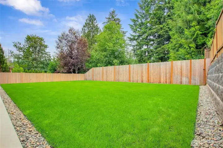 Leveled grass area in backyard. 10 foot back fence with access gate on the right. Several arborvitaes are planted behind the back fence that will grow to create extra privacy. Full irrigation for grass and arborvitaes. Leveled grass area in backyard. 10 foot back fence with access gate on the right. Several arborvitaes are planted behind the back fence that will grow to create extra privacy. Full irrigation for grass and arborvitaes.