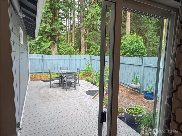 Fully fenced backyard. Fully fenced backyard.