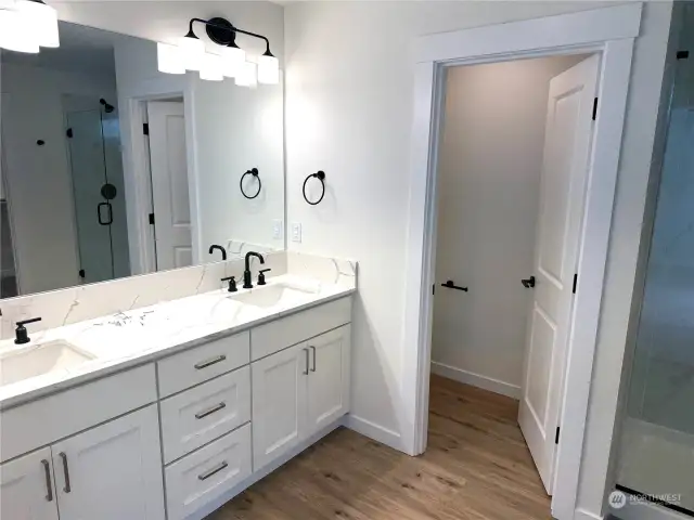 dual sinks