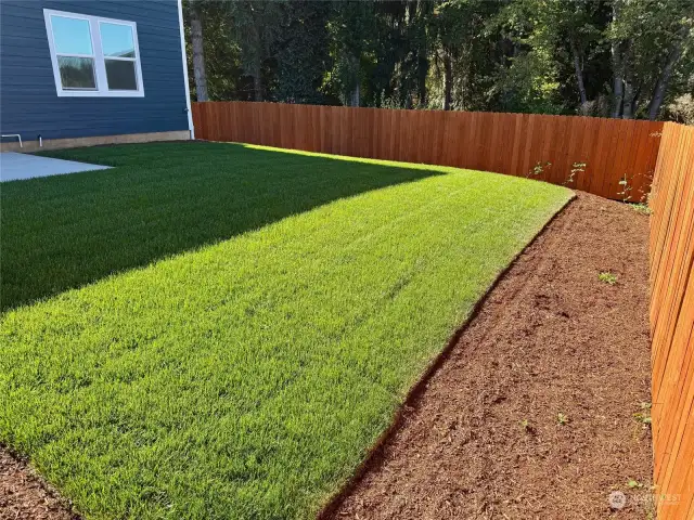 landscaped and fenced yard