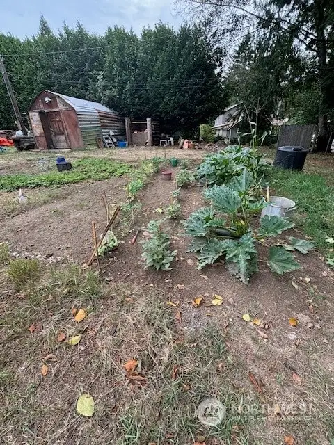 Rental #1 Back yard