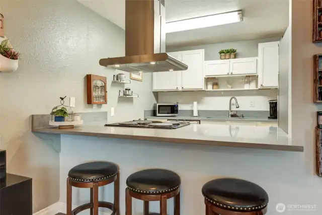 Quartz kitchen counter tops