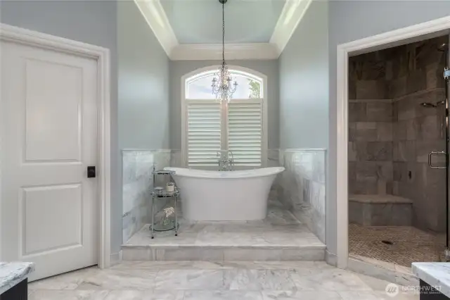A Serene Spa off of the Primary Bedroom on the Main Floor
