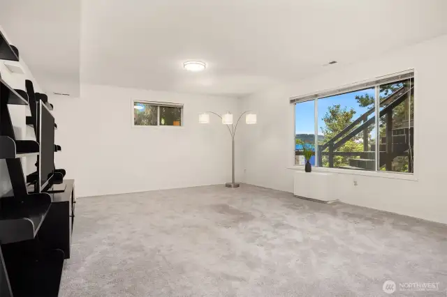 Huge lower level rec room
