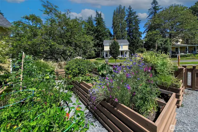 A beloved feature of the Fort Lawton community, the shared P-Patch invites residents to grow vegetables, flowers, and friendships side by side. Tended with care beneath a canopy of heritage trees, this garden speaks to the spirit of stewardship and shared purpose that defines life within Discovery Park.