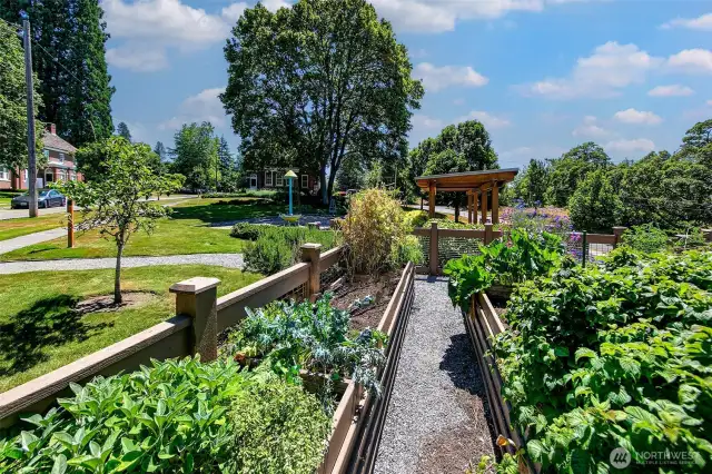 Lush raised beds burst with life beside a communal pavilion—where neighbors swap seeds, stories, and the season’s best harvest. This shared green space enriches the Fort Lawton lifestyle, blending individual joy with collective purpose amid the timeless rhythm of Discovery Park.