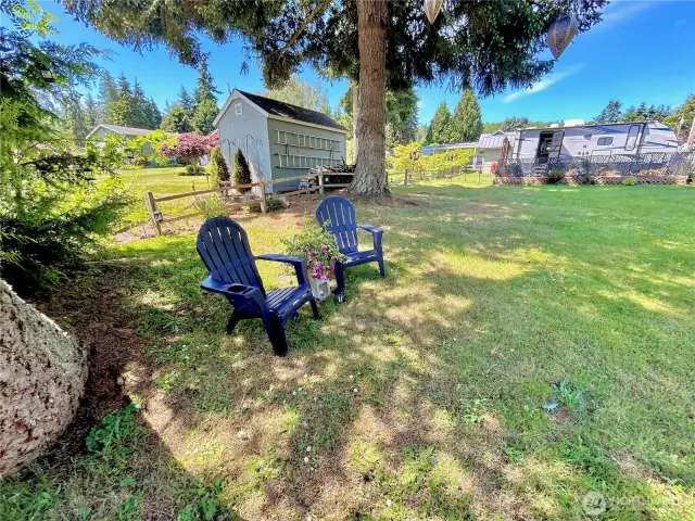 Relax under the evergreens.