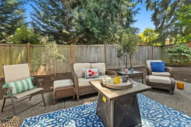 Back patio entertainment area