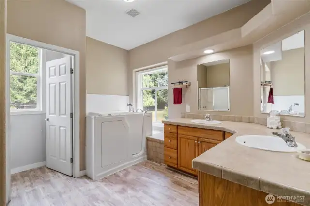 Primary Bath w/walk-in Tub