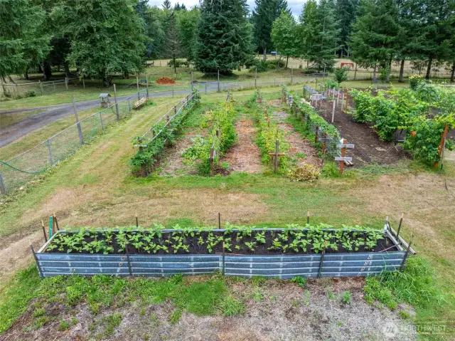 Raised Beds