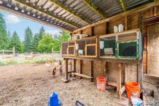 Chicken Coop