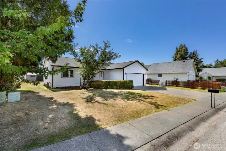 Spacious Front Yard