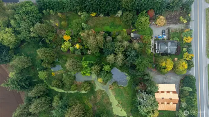 Beautiful grounds with 3 open garden spaces, park-like pond with island, serene koi pond, aviery, and more!