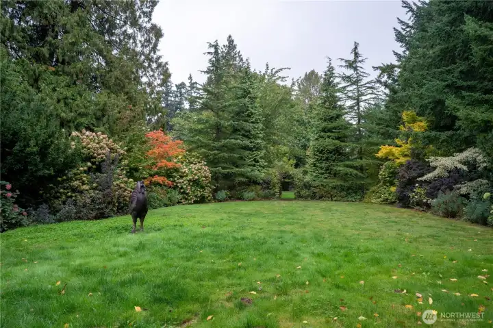 Garden space #2