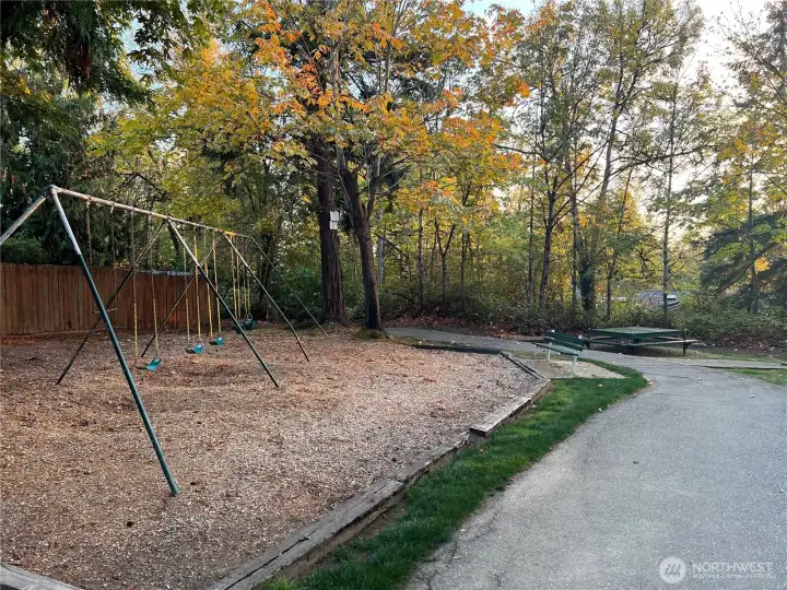 Another photo from this private community park showing the swing set and some of the benches, tables, and trails.