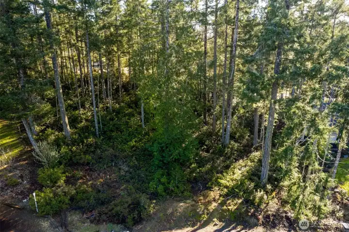 Aerial view - gentle slope, private, and lightly treed.