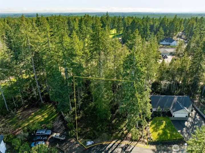 Aerial view of 10,019 sq. ft. lot. Property lines are approximate.