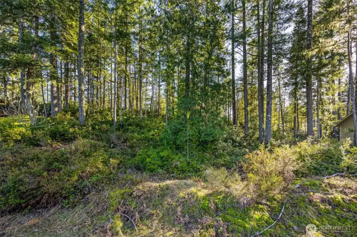 Soil evaluation records from 2012 are available from Mason County.