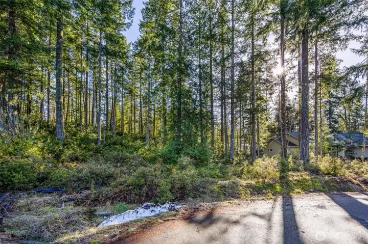 Quiet cul de sac has new or newer homes.