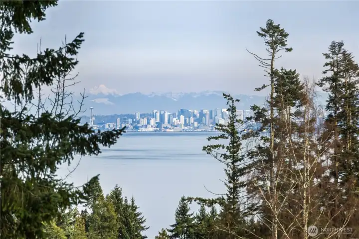 City of Seattle views from the Primary Suite