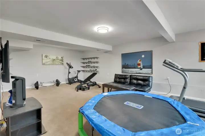 Lower Recreational Room adjoins to hallway accessing 3 car garage + large storage room