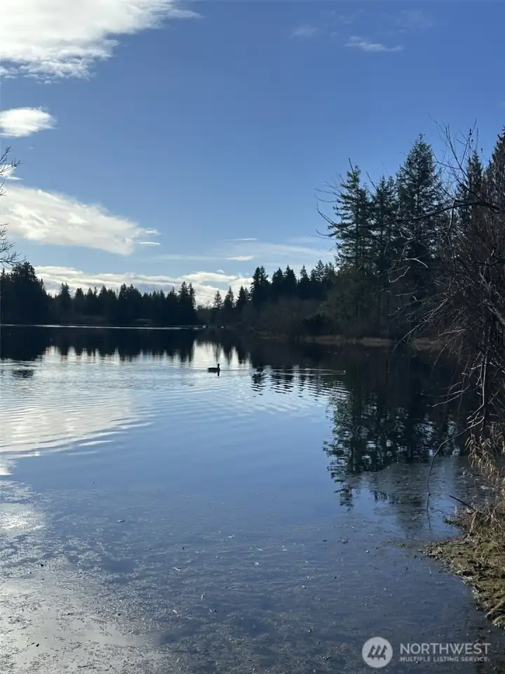 Experience premier living in the Lake Kathleen area of Renton Highlands. This desirable property offers rare private access to a residents-only park with open grass fields and a peaceful, secluded setting.