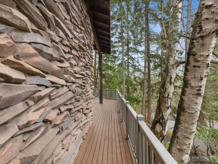 Immerse yourself in a secluded forest oasis, where dramatic custom-stone facade and tranquil forest guide you effortlessly from the main entrance to your secluded entertainment patio.