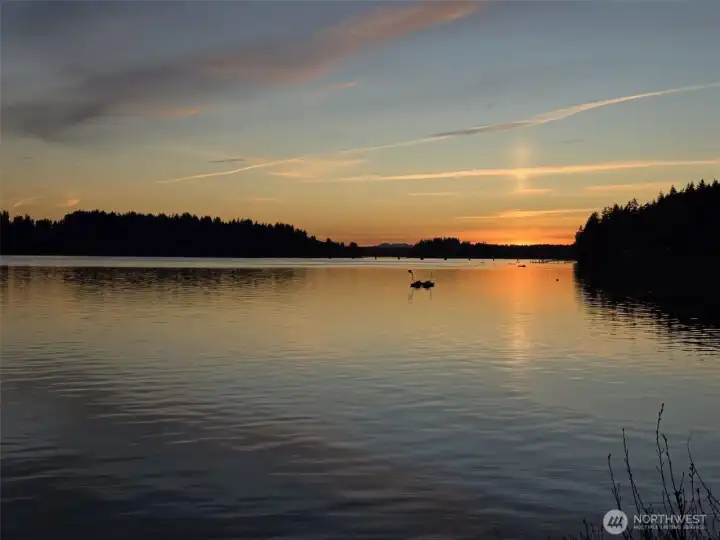 Hale Passage never lets you down