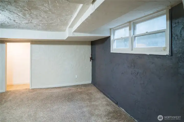 Lower Level Family Room