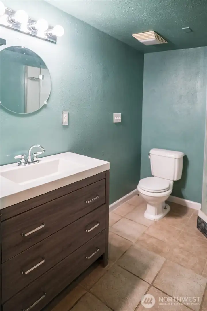 Lower Level Bathroom