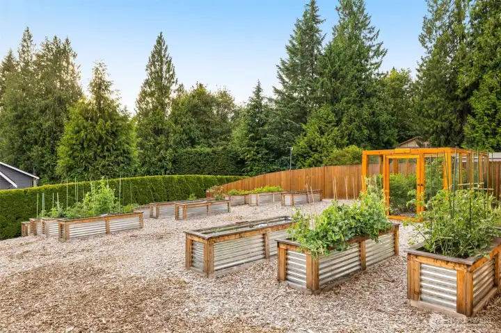 A gardener's dream! Multiple raised garden beds with irrigation.