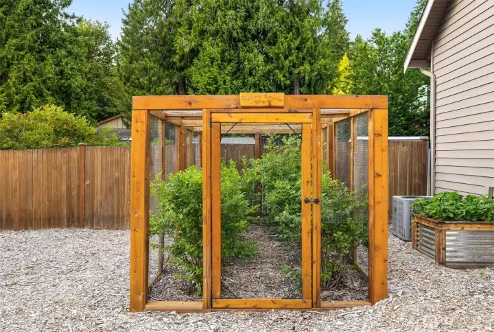 A secure garden space for those special items you do not want to share with the wildlife.