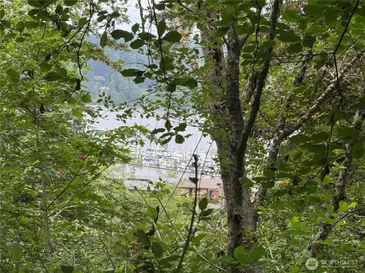Just Imagine the possibilities. Open up the view, lower SW of the property you will find this view!