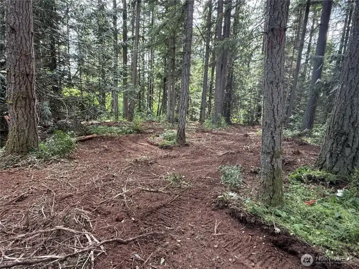 Come and explore logs on West side of the property are not on property line, the property line is outer to the west.