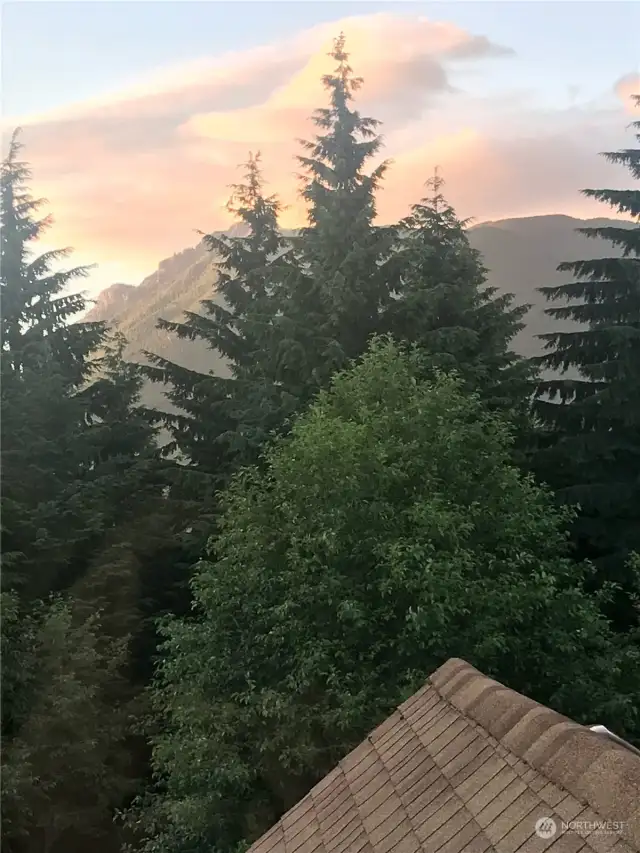 View from Cupola- small look out from the top of the home