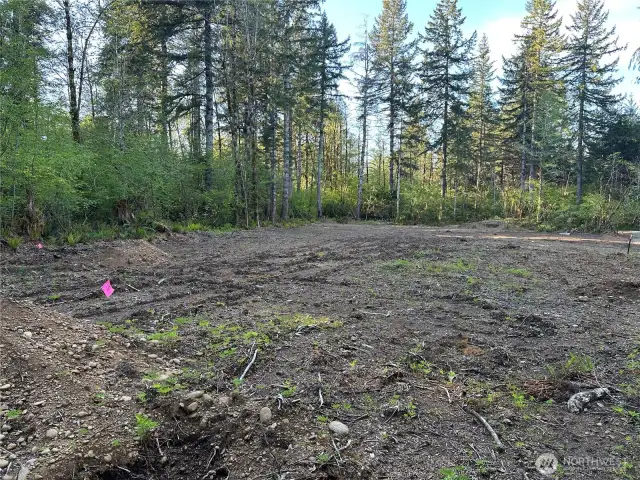 Potential building site.