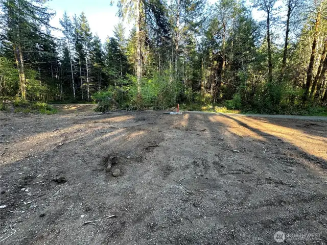 Potential building site.
