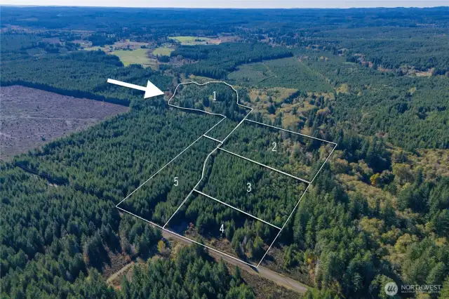 Lot #1 of a recent short plot devisision.