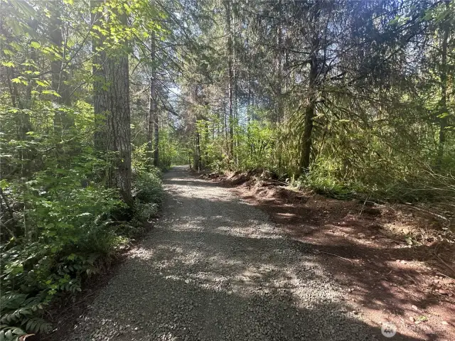 Great mix of mature trees and a cleared building site.