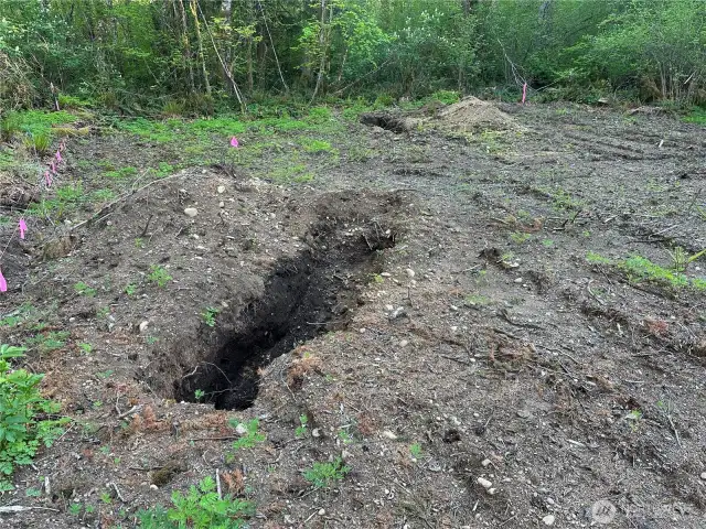 Septice plan drawn. Perk holes are dug.