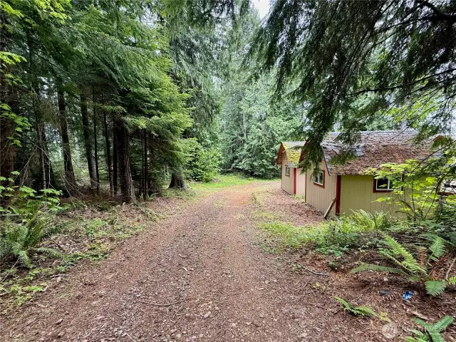 Driveway