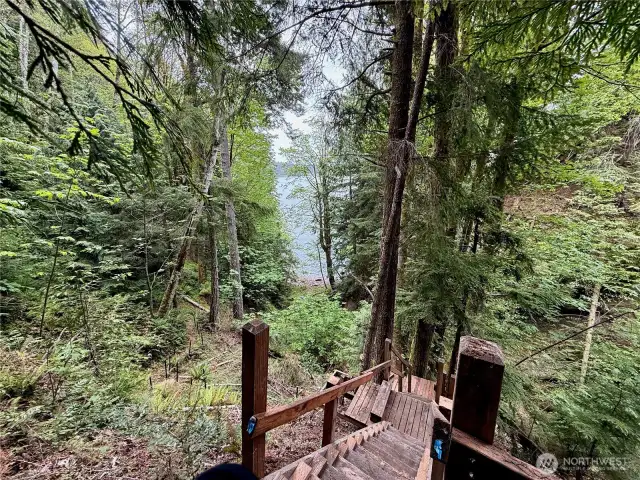 Stairs to trail