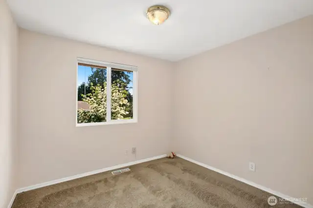 Fresh paint and carpet