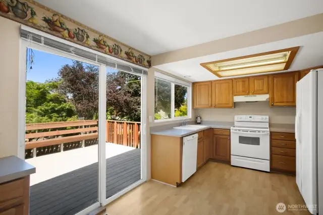 Cook's kitchen with hardwood floors
